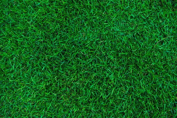 Πράσινη υφή χόρτου για φόντο - Φωτογραφία, εικόνα