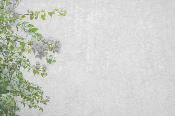 Concrete Wall Background with Floral Borders - Foto, imagen