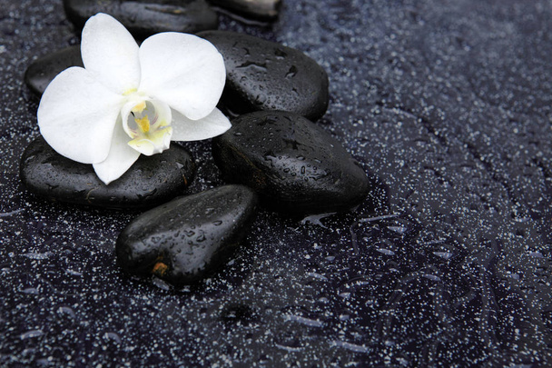 Orquídea branca única e pedras pretas fechar
. - Foto, Imagem