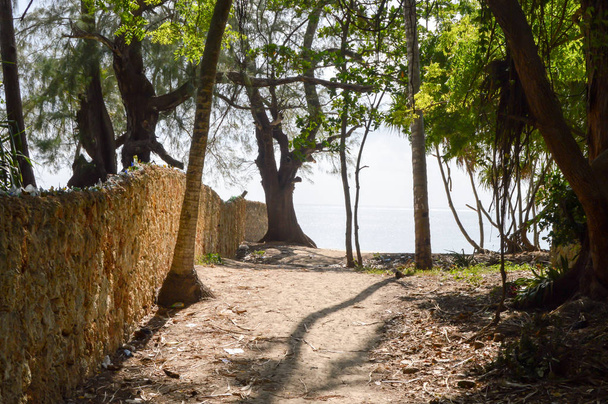 Sentier de la Terre surplombant Bamburi
  - Photo, image
