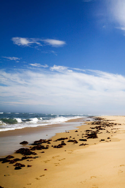 Trawa morska wzdłuż ścieżki na piasku  - Zdjęcie, obraz