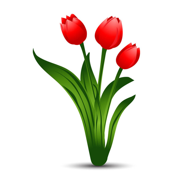 Csokor három piros tulipán, zöld levelekkel. Vektoros illusztráció - Vektor, kép