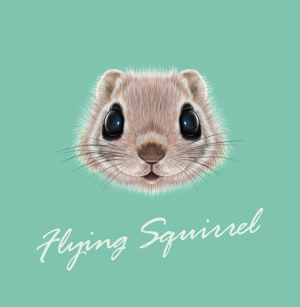 Διάνυσμα Εικονογραφημένη πορτρέτο του πετώντας σκίουρος - Διάνυσμα, εικόνα