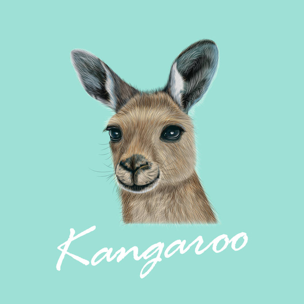 Vector Illustrated portret van kangoeroe - Vector, afbeelding
