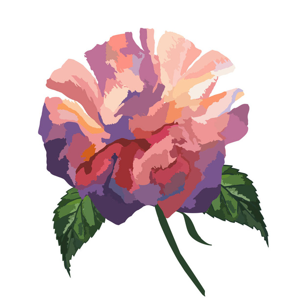 τριαντάφυλλα σε λευκό φόντο, χαρτί περιτυλίγματος - Διάνυσμα, εικόνα