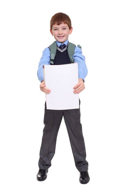 portrait of a schoolboy isolated on white background - Photo, image