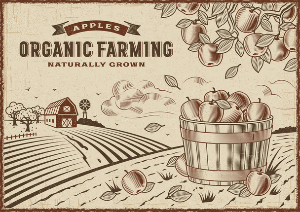 Paisaje agrícola ecológico de manzana
 - Vector, imagen