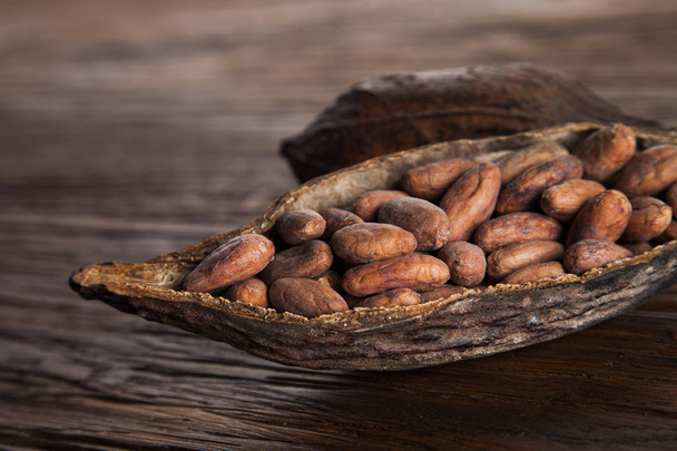 kakaový lusk na dřevěném pozadí - Fotografie, Obrázek