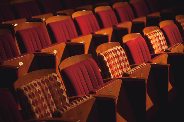 Rows of Theater Seats - Valokuva, kuva