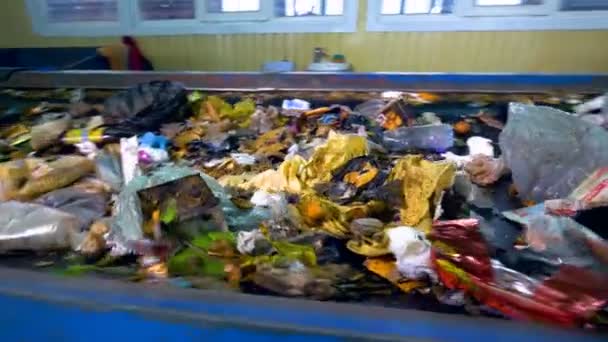 Garbage, trash, rubbish conveyor on a waste recycling plant. - Footage, Video