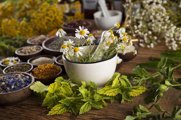 Healing herbs on wooden table - Photo, Image