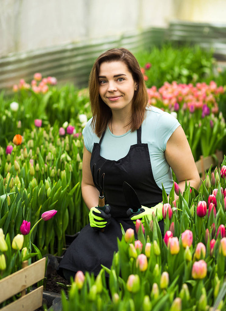woman gardener with garden tools in the greenhouse,Florists woman working with flowers in a greenhouse. Springtime, lots of tulips,flowers concept,Industrial cultivation of flowers - Photo, Image