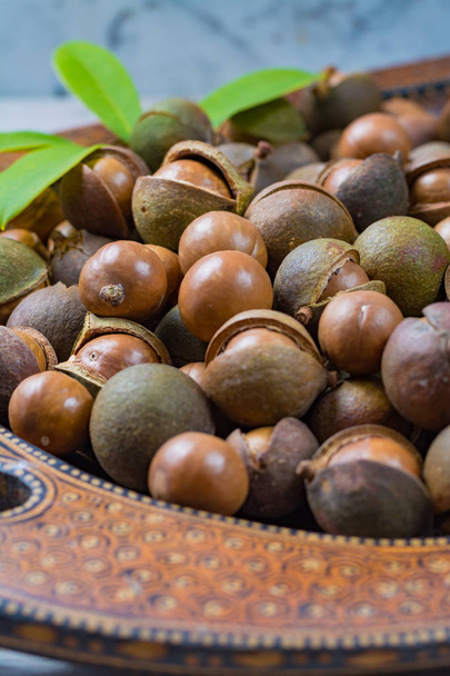 Cosecha de nueces de macadamia de cerca
 - Foto, Imagen