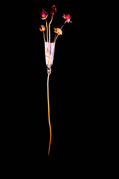 Сушені квіти всередині скляної вази
 - Фото, зображення