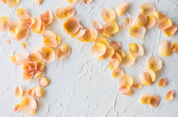 Rose petals on white textured background - Photo, Image