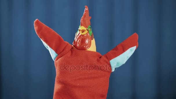Gallo marioneta de mano roja juguete saludando, mirar a su alrededor y arcos sobre fondo azul
 - Imágenes, Vídeo
