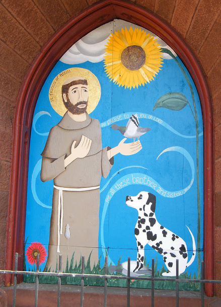 Washington Sint Franciscus van Assisi 2010 - Foto, afbeelding