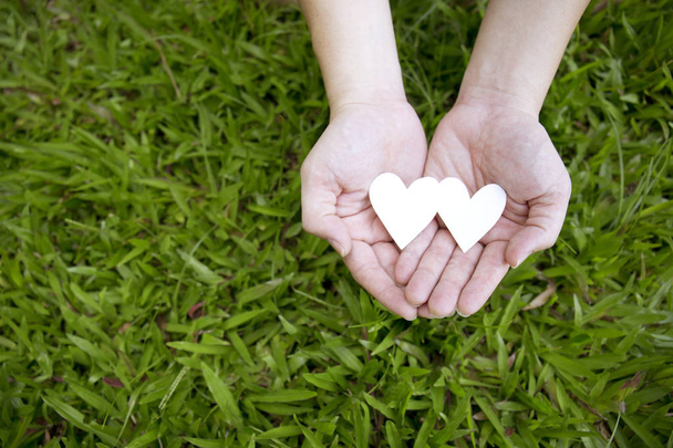 srdce řezání z papíru v ruce pod zelené trávy - Fotografie, Obrázek