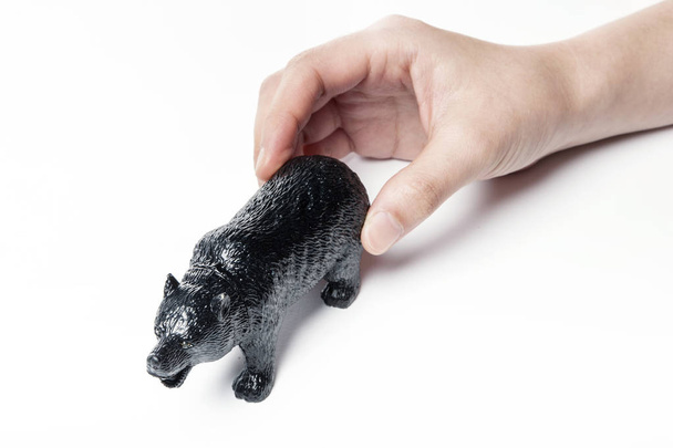 tenant un animal, ours noir
 - Photo, image