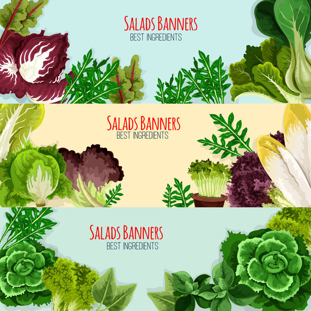 Salad greens and leaf vegetables banner set - Vector, Image