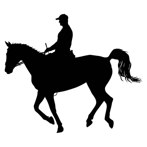 silhouette vettoriale di cavallo e fantino - Vettoriali, immagini