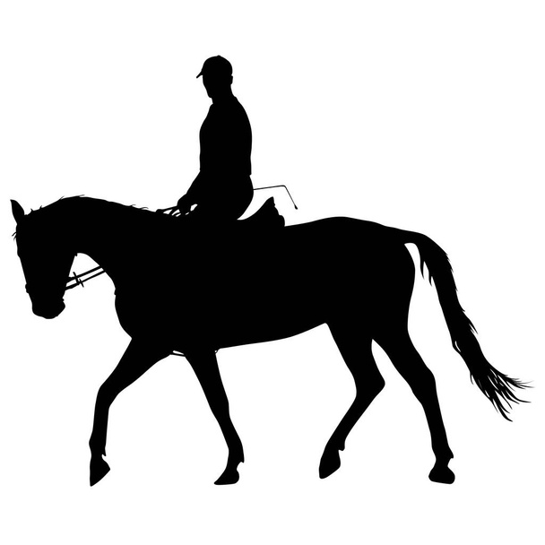 vector silhouette of horse and jockey - Vector, Image