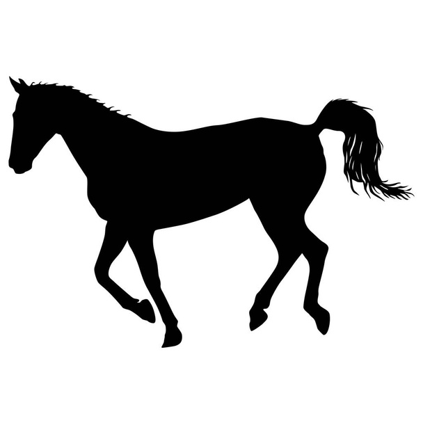 silhouette di nero mustang cavallo vettore illustrazione
 - Vettoriali, immagini