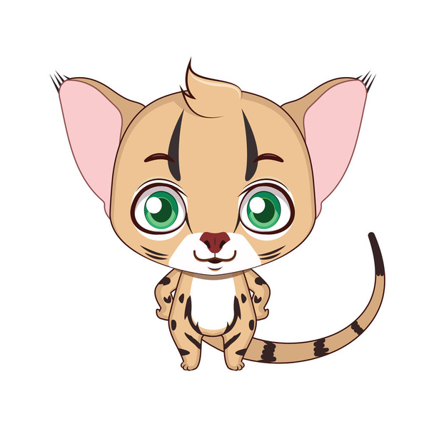 Cute stylized cartoon jungle cat illustration - Διάνυσμα, εικόνα