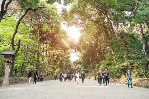 people walking at Yoyogi park - Fotografie, Obrázek