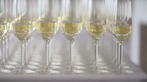 Több pohár pezsgő az asztalon - Felvétel, videó