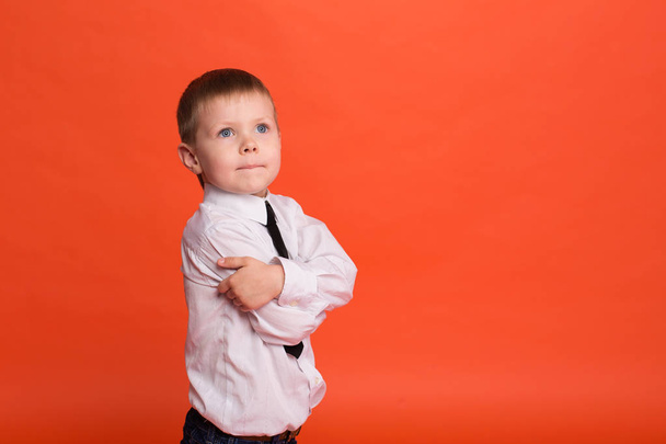 Petit garçon posant dans le studio sur un fond rouge
.  - Photo, image