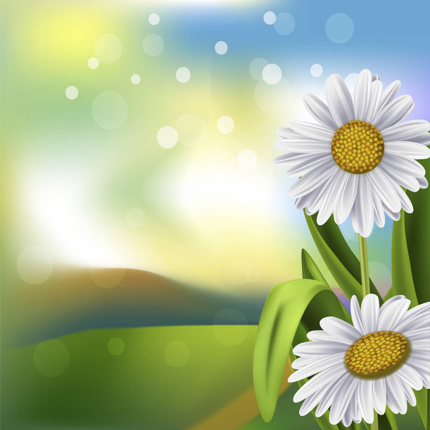 Spring daisies in field - Wektor, obraz