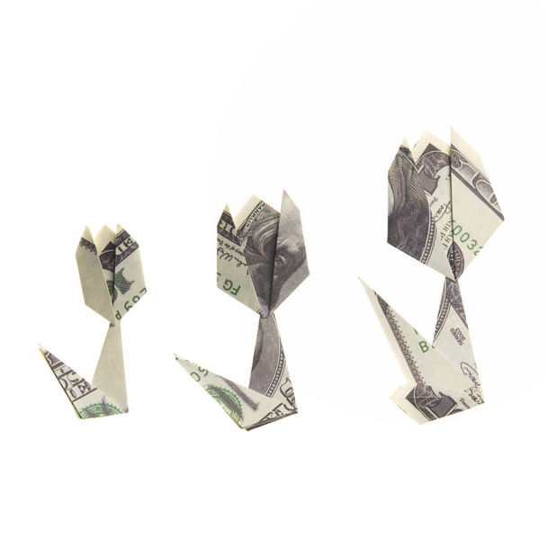kukkien origami setelit
 - Valokuva, kuva