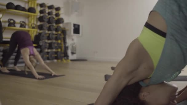 Group of adult women doing yoga exercises - Záběry, video