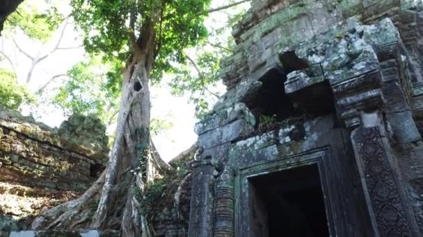 Ta Prohm Temple ruins - Footage, Video