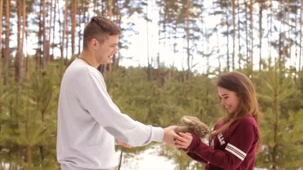 Happy couple in winter forest.Full hd video - Video, Çekim
