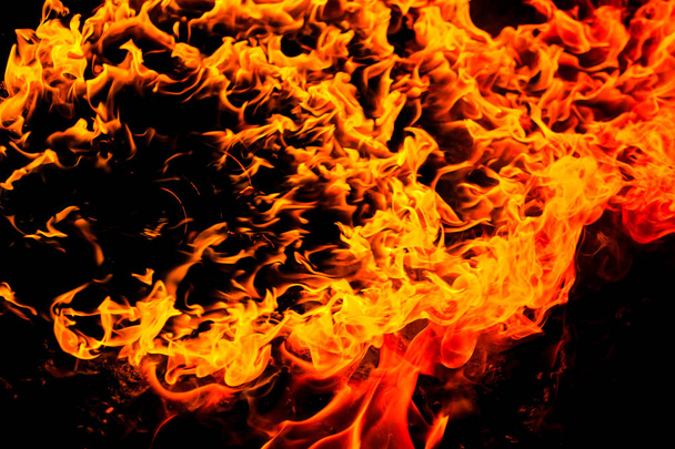 Hermosa llama de fuego ardiente
 - Foto, Imagen