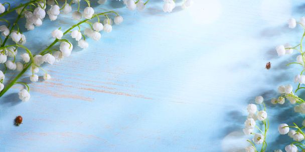 青の背景にユリの谷春花の芸術 - 写真・画像