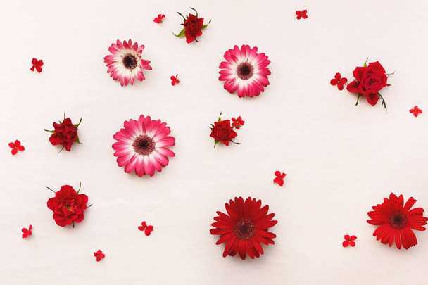 Red natural flowers scattered on pastel  background - Photo, Image