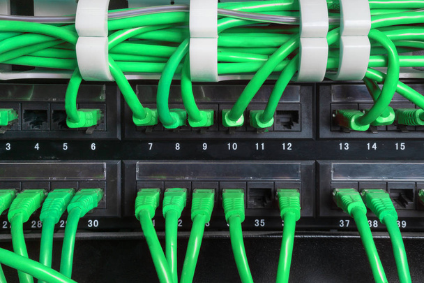 Server rack with green internet patch cord cables - Photo, Image