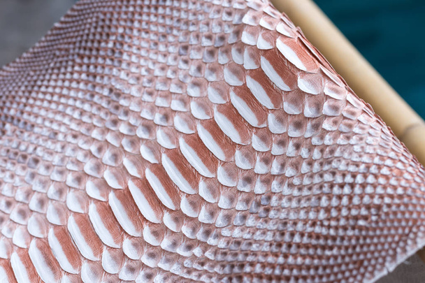 Valódi python kígyóbőr bőr, kígyó bőr textúra a háttér. Medence, a háttér. - Fotó, kép