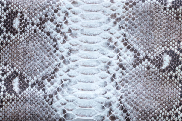 Genuine python snakeskin leather, snake skin, texture background. - Photo, Image
