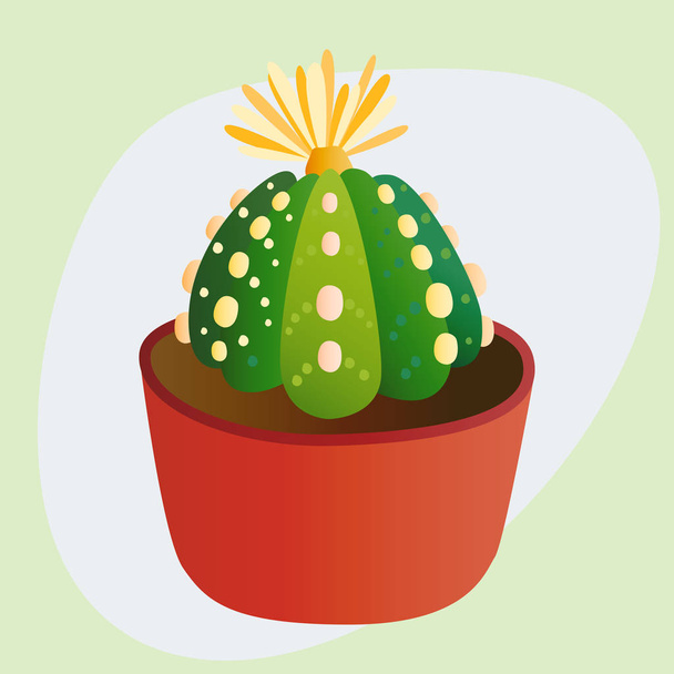 Cactus flat style nature desert flower green cartoon drawing graphic mexican succulent and tropical plant garden art cacti floral vector illustration. - ベクター画像