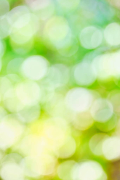 Blur Sunlight for Green Background - Photo, Image