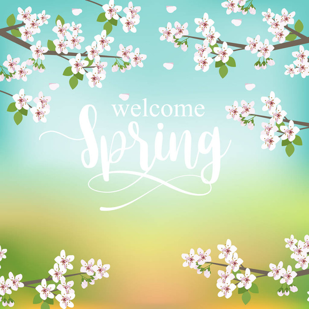 spring season background - Vettoriali, immagini