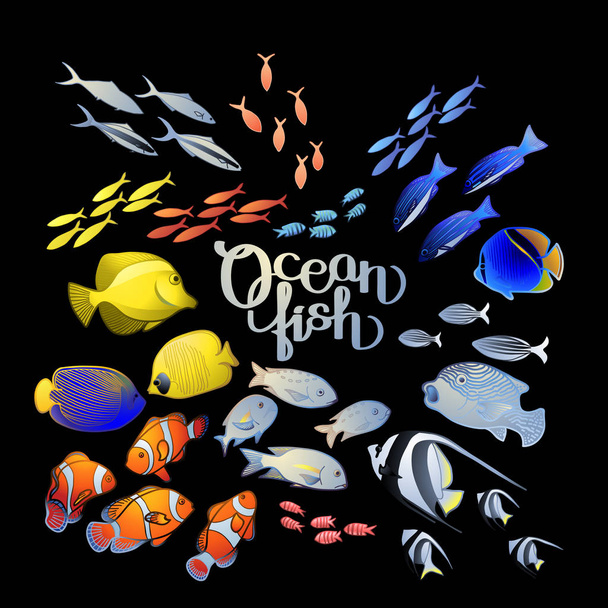 Grafické Oceánská Ryba - Vektor, obrázek