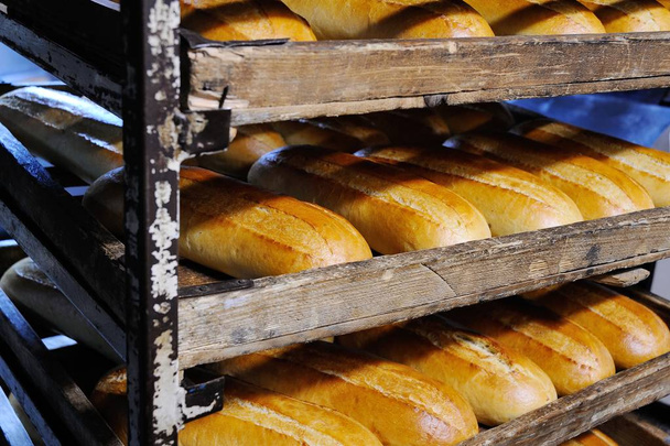 Fresh bread on a shelf in a bakery - 写真・画像
