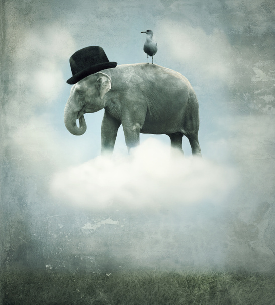 fantasie olifant vliegen - Foto, afbeelding