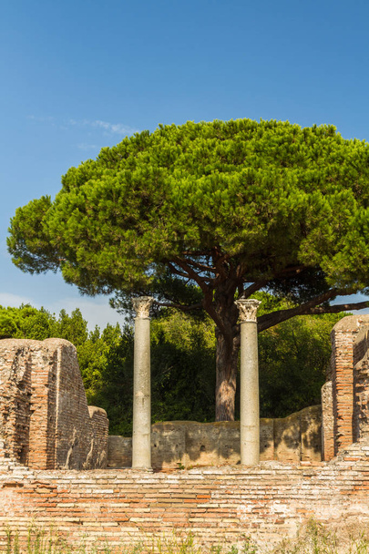 Słupy Roman Ostia Antica - Zdjęcie, obraz