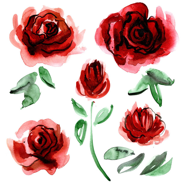 Watercolor hand painted flower elements - Fotó, kép